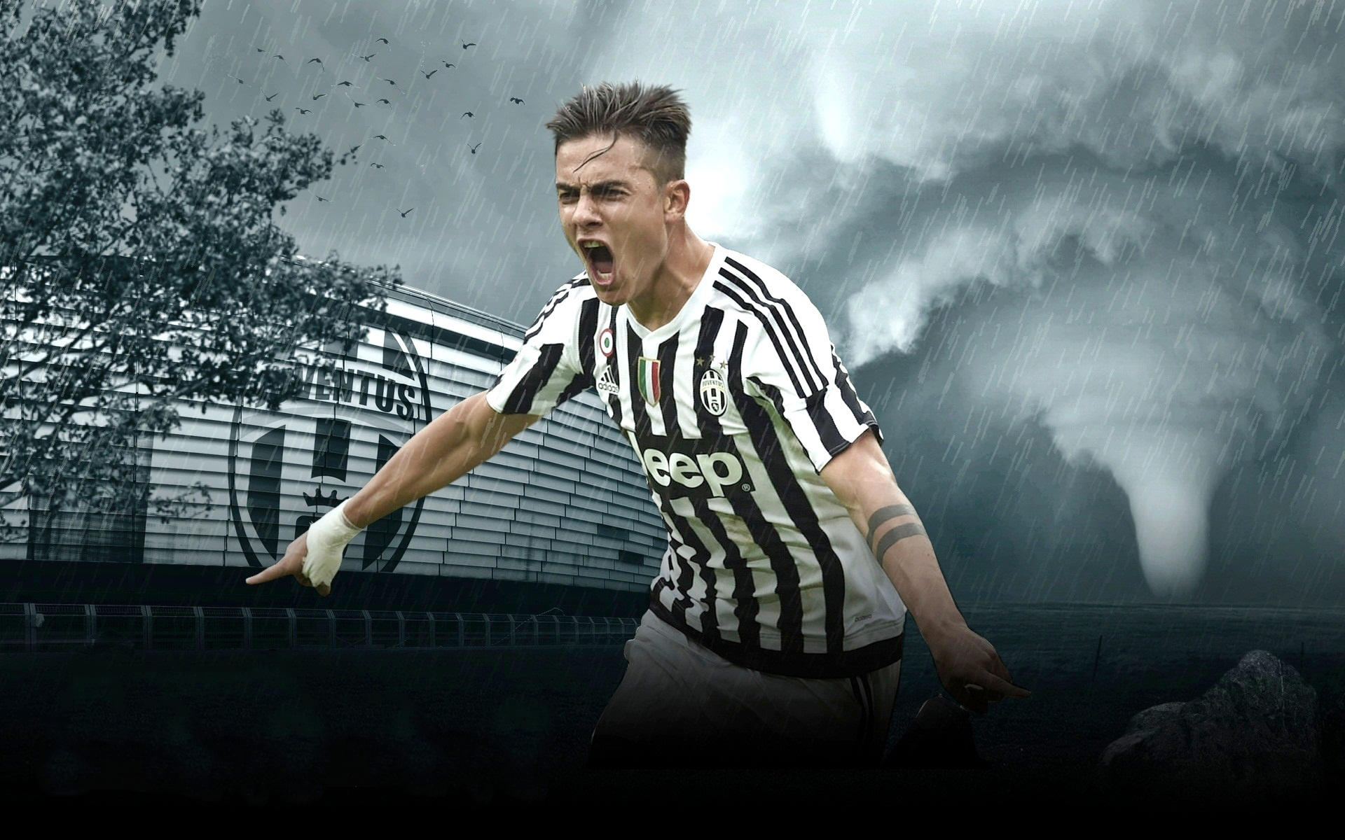 德转列英超不含BIG6球员最贵阵：吉马良斯、托纳利7500万领衔（德转盘点英超非BIG6最贵阵：吉马良斯、托纳利以7500万领衔）