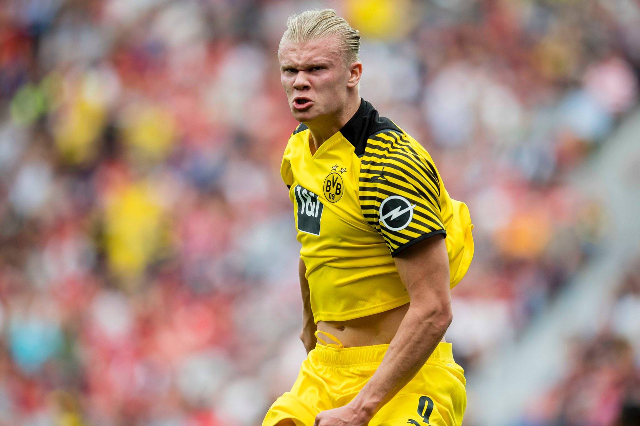 佩杜拉：加斯佩里尼把齐尔克泽视为罗马在冬窗的完美引援（佩杜拉：加斯佩里尼视齐尔克泽为罗马冬窗的理想引援）